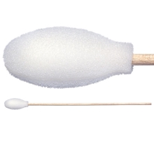 Foam Covered Cotton Cleanroom Swab with Wood Handle, Non-Sterile TX720B