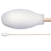 Foam Covered Cotton Cleanroom Swab with Wood Handle, Non-Sterile TX720B