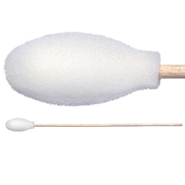 Foam Covered Cotton Cleanroom Swab with Wood Handle, Non-Sterile TX720B
